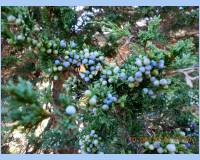 DSCN3042.jpg